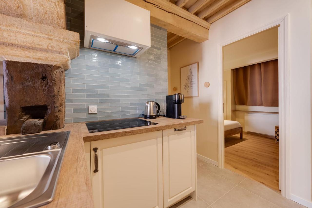 Le Balcon Perriere I - Charming Apartment With Direct View Of The Thiou Annecy Exteriör bild